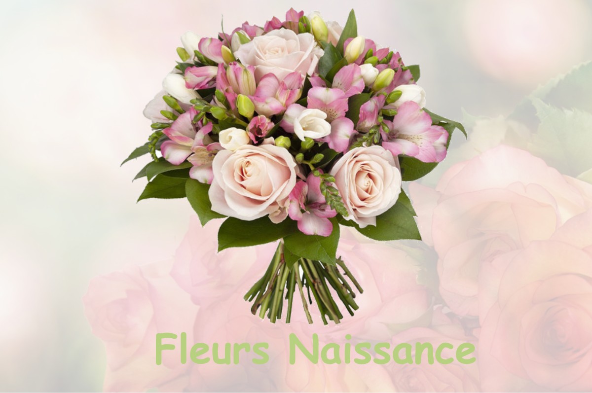 fleurs naissance VAUX-LES-SAINT-CLAUDE