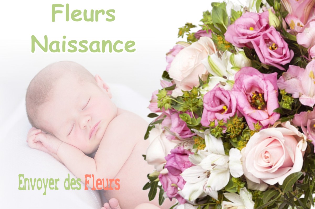 lIVRAISON FLEURS NAISSANCE à VAUX-LES-SAINT-CLAUDE